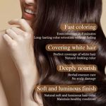 product_image_name-KORMESIC-3-in-1 Brown Hair Dye – Long-Lasting Hair Color Shampoo-450ml-3