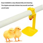 Generic 10Pcs Automatic Chicken N-ipple Drinker with Water Cup, Poultry Water Feeder - image 6