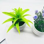 product_image_name-Generic-2 POTS of artificial flower succulent pot set car table decoration-2