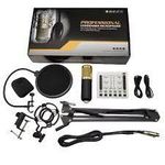 Professional Studio Condenser Microphone Kit – High-Sensitivity Vocal Mic with Patented Audio Reference Compandor & Shock Mount