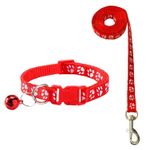product_image_name-Fashion-Collars and leashes for dogs and cats-1