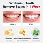 product_image_name-Max Fire Safe-Super Probiotic-6 The Best Ever Of All SP-6/140g-1