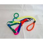 Generic Elastic Rainbow Leash -Dogs - image 2