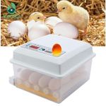 Generic Egg Incubator, Digital Automatic Egg Incubator 16 Eggs Mini with Temperature Control Poultry for Chickens Ducks Goose Birds - image 2