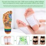 No Detox Foot Pads 10PCS Herbal Cleansing Foot Patch - image 5