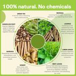 product_image_name-Generic-28 Day Detox Tea – Herbal Cleanse for Digestion, Metabolism & Slimming Support, Green Tea & Moringa – 28 Bags-2