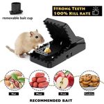 Universal Large Powerful Mouse Traps, High Sensitivity Plastic Rodent Catcher 6 Pack, Indoor Warehouse Rat Control Tool - image 3