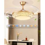 product_image_name-SUMMER WIND-Bluetooth Luxury LED Ceiling Fanlight + Remote Control Set - Gold-1