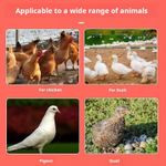 product_image_name-General-2287--9 feeding buckets + 1 hole puncher Automatic poultry feeder-6