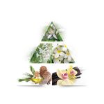 product_image_name-La Rive-LaRive - Her choice perfume for women-5