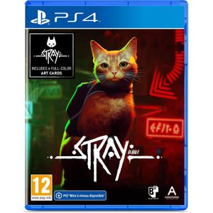 B12 Stray PlayStation 4