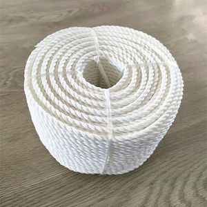  Agriculture String 6mm, 100m Twisted Rope Nylon Fishing Net and Twine