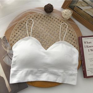 T Shirt Bra Available @ Best Price Online