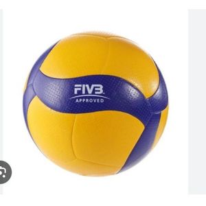 AD Professional Street Volleyball - Multicolor 