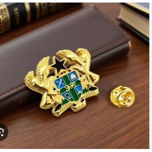 AD Ghana Coat Arm Lapel Pin - Multicolour