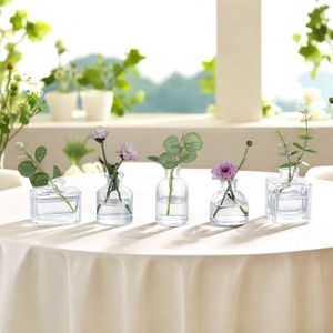 NIKIHONG 5 Piece Clear Glass Mini Vases Set Mini Decorative Vases for Table Centerpieces, Home Wedding Decor