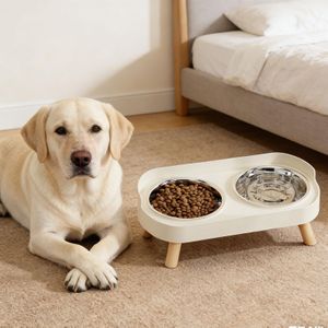 Elevated Dog Bowls Neck Protection Splash Proof Raised Dog Bowl Stand With Stainless Steel Double Bowls for Small to Medium Dogs
