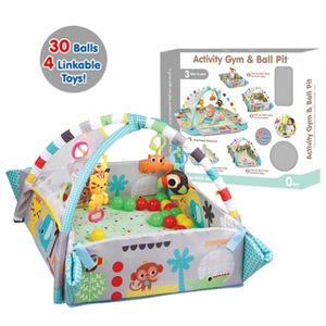 Activity gym and Ball pit 