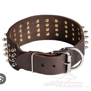 AD Pet Spiky Adjustable Collar for Medium to Large Pets - Multicolour