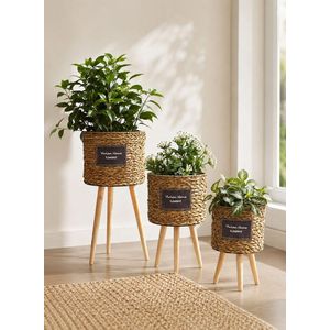 Woven Seagrass Planter Stands with Wooden Legs -Decorative Indoor Plant Pot Set