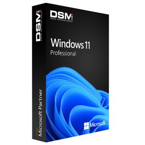Microsoft Windows 11 Pro  (1 PC License) (Digital)