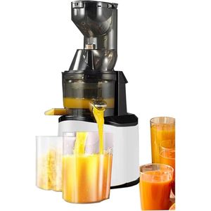 Professional Slow Masticating Juicer - Cold Press Extraction Whole Fruit & Vegetable Juicing Machine