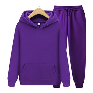 Sport Two Piece Set for Women Sweat Suits Hoodies Sweatshirts and