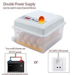 16-Egg Automatic Incubator - Fully Automatic with Digital Display -  Features Automatic Egg Turning and Temperature Control Functions - Suitable for Incubating Chicken, Duck, Goose, and Quail Eggs.