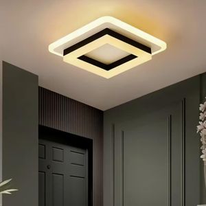 Nordic simple ceiling lamp 15W LED ceiling lamp indoor aluminum ceiling lamp hotel shop corridor ceiling lighting three-color dimmable ceiling lamp