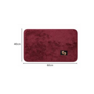 Premium Soft Absorbent Doormat - Non-Slip Entryway Rug for Indoor/Outdoor Use, Quick-Dry Floor Mat for Home, Office, Bathroom, or Kitchen (L40 x W60)cm / (L15.7 x W23.6)inch - Burgundy