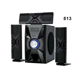 WEYON 813'' Outdoor Wireless Bluetooth Speaker - Black