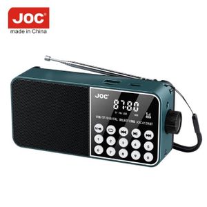 AD Portable Digital Travel FM Radio Player - Multicolours
