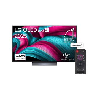 LG OLED C5 55-inch TV Panel