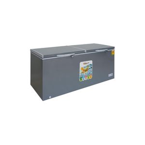 Delron DCF-435 Double Door Chest Freezer - 435 Litres - Grey