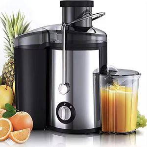 RAF Multipurpose Fruit & Vegetable Juice Maker