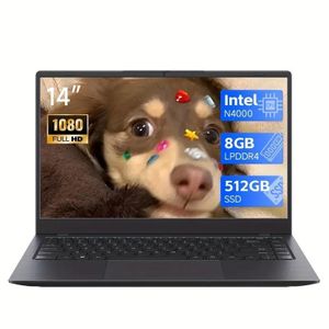 Fangzheng 14 Inch Ultra-thin Lightweight Laptop, Celeron Processor, UHD Graphics Card Basic Frequency Of 200 MHz, Privacy Camera, 8GB LPDDR4 512GB SATA, Affordable Laptop PC Suitable For Daily Life Games, Office, Students, Creativity-Grey