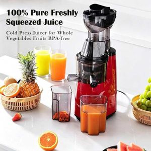 Vegetables and Fruits Juicer - Juice Maker