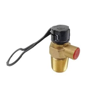 LPG Gas Cylinder  Valve