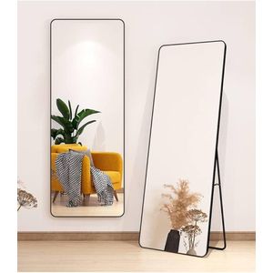 Ikea Standing and mount wall Mirror