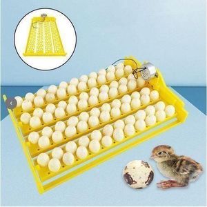 Egg Incubator 88 Eggs Automatic Egg Turning Hatcher Brooder DC 12V