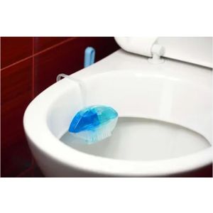 A & Shine 5pcs Automatic Toilet Bowl Cleanser - Multicolours 