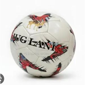 AD Professional  Pro Leather Football - Multicolour
