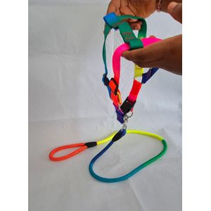 Elastic Rainbow Leash -Dogs