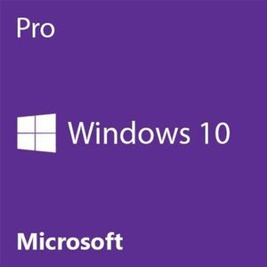 Microsoft Windows 10 Pro OEM (1 PC License) (Digital) - Lifetime