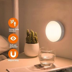 Motion Sensor Light With Wireless Body Induction