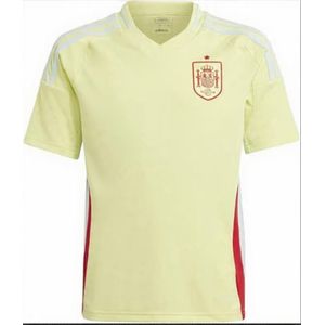 Spanish team jersey 
