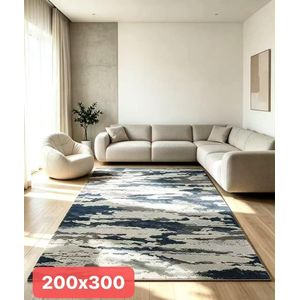 OMAMA HOME TEXTILE Modern Abstract Area Rug – 200cm × 300cm  Large Living Room Carpet Soft Decorative Floor Rug