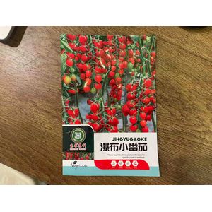 Premium Tomato Seeds for Planting – High Yield Vegetable Garden Seeds for Home & Farm