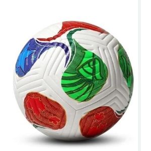 AD Professional Leather Football - Multicolour