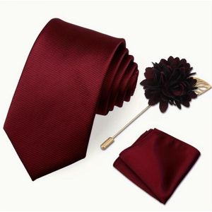 Men'S Tie, Pocket Square, And Lapel Pin Set - a Three-Piece Gift for Men